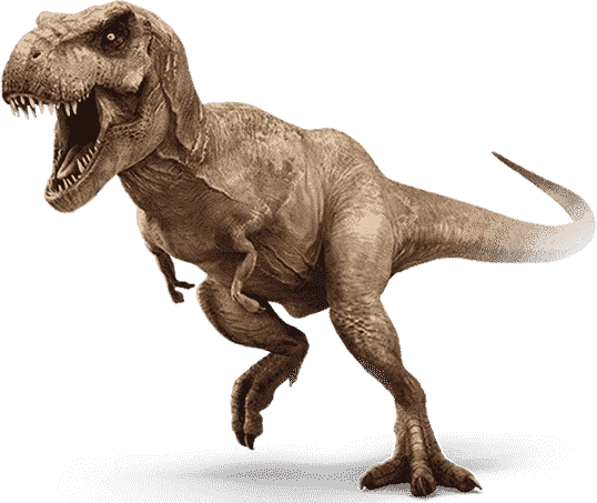 Download mining software: T-Rex